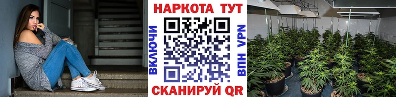 Наркошоп купить Кокаин  Амфетамин  МЕФ  Героин  ГАШИШ  Марихуана  СОЛЬ  Сланцы
