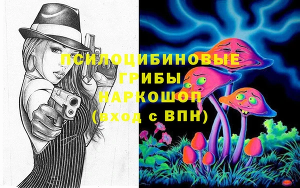 ешки Володарск