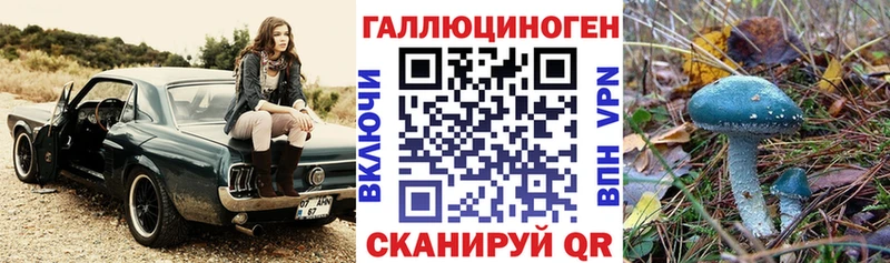 Галлюциногенные грибы мицелий  Купить где  Сланцы 